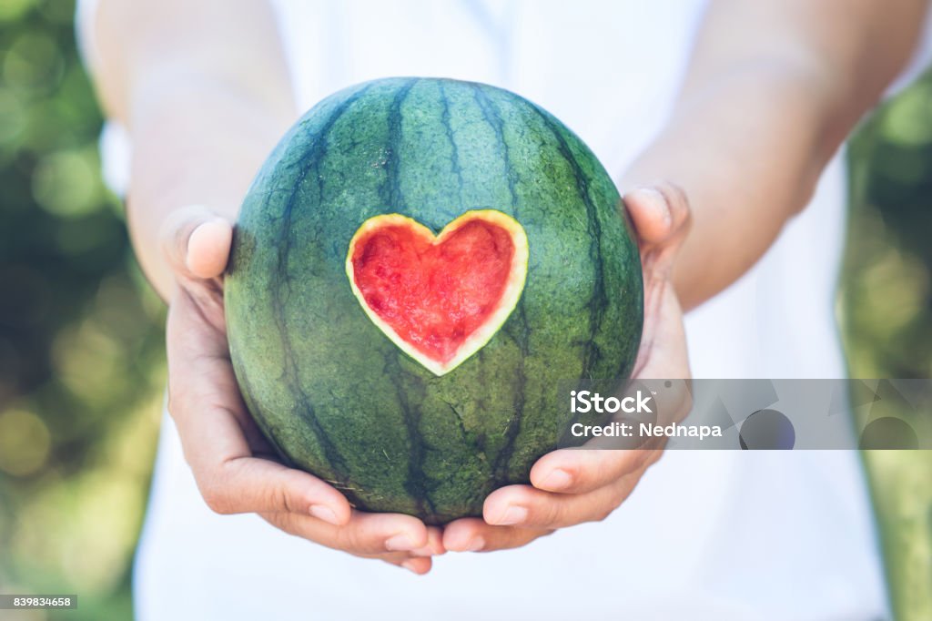 watermelon with heart shape Woman holding watermelon with heart shape,love and health care concept Heart Shape Stock Photo