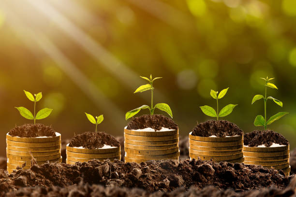 istock Money growing in soil,success concept 839837170