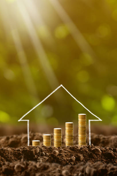 istock Money growing in soil. 839837356