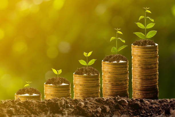 istock Money growing in soil,success concept 839837448