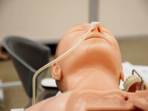 Training dummy with nasogastric tube stock photo