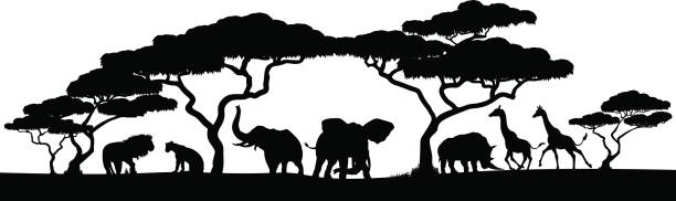 ilustraciones, imágenes clip art, dibujos animados e iconos de stock de escena de paisaje animales de safari en áfrica silueta - protección de fauna salvaje