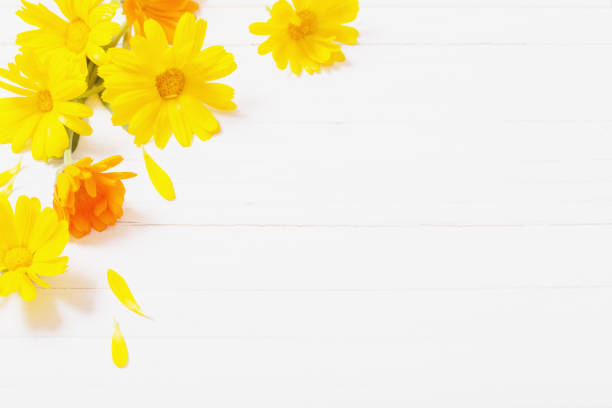 istock Calendula (Marigold) herbal tea  on white wooden table 839842070