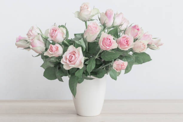 istock pink roses in vase on white background 839849376