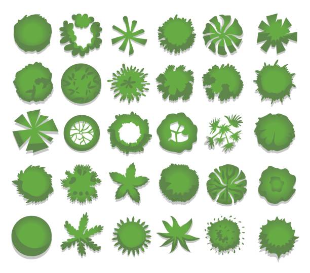 다른 녹색 나무, 관목, 산울타리의 집합입니다. 조 경 디자인 프로젝트에 대 한 최고의 전망입니다. 벡터 그림, 흰색 절연입니다. - computer graphic leaf posing plant stock illustrations
