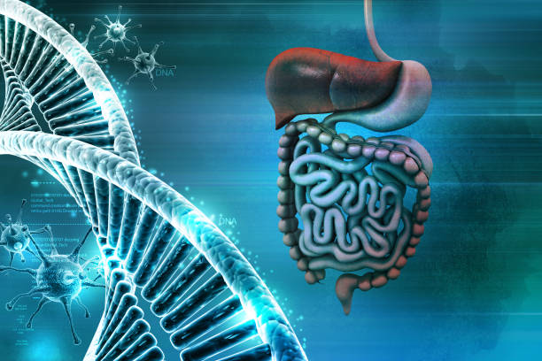 istock Human digestive system with dna and virus in color background 839853794