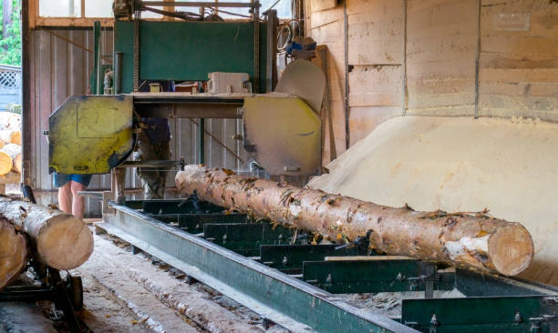 istock Sawmill. Process of machining logs in sawmill machine saws the tree trunk 839856688
