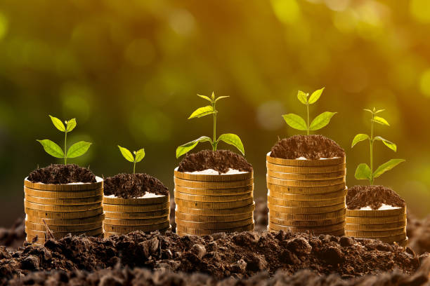 istock Money growing in soil,success concept 839857486
