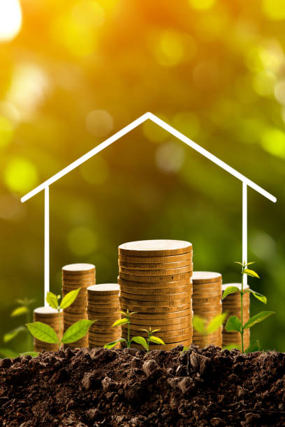 istock Money growing in soil. 839857506