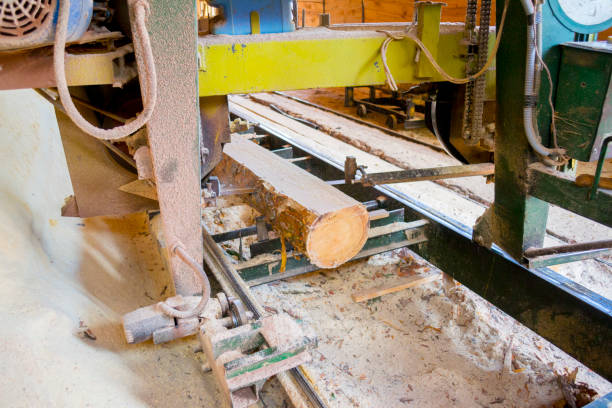 istock Sawmill. Process of machining logs in sawmill machine saws the tree trunk 839860120