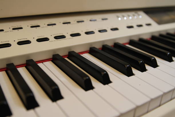 istock Close up piano key white classical piano 839860222