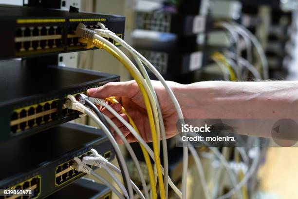 Hand With Rj45 Cable Stock Photo - Download Image Now - Blue, Cable, Close-up