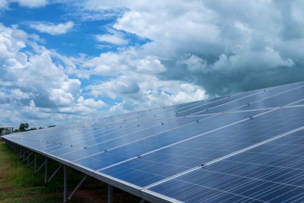 istock Solar cells in a solar field in the sunshine 839863716