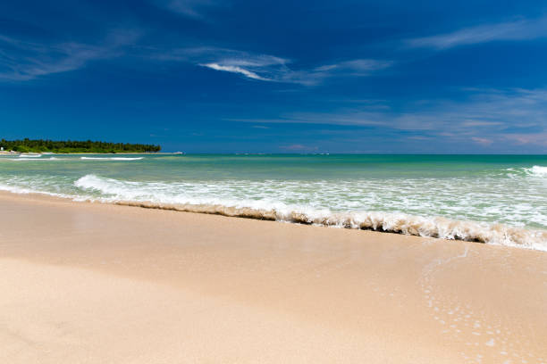 istock beach and tropical sea 839864580