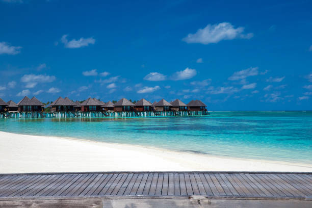 istock beach with water bungalows at Maldives 839864698