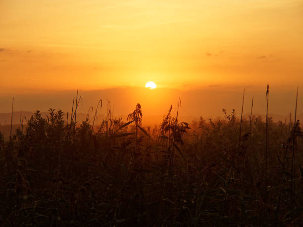 istock Sunrise in moorland 839867288