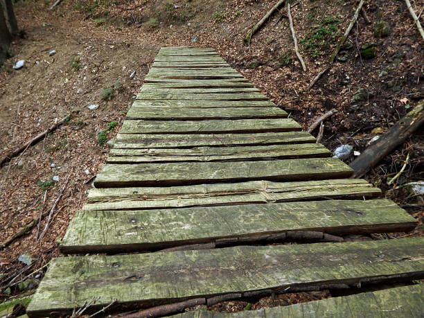 istock Wooden bridge in the forest 839869054