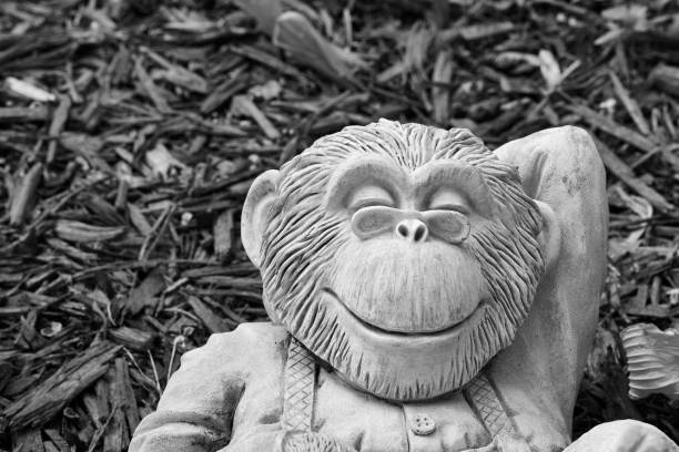 Pirese Monkey Birthday Banner, Monkey Party Decorations