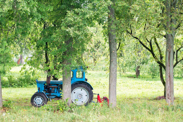 Old Russian rusty blue tractor in the garden