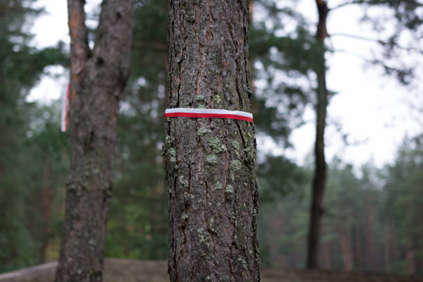 istock Poland National flag ribbon 839874802