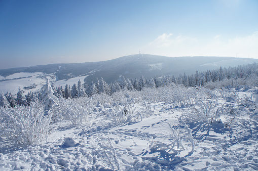 Tracks in the snow, Saint-Paul, Quebec