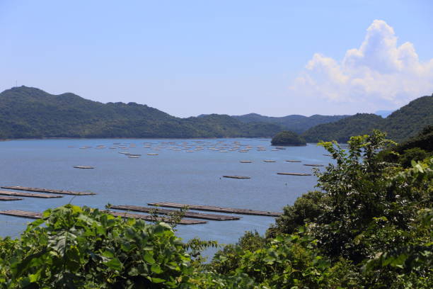 istock Katakami bay in Japan 839883120