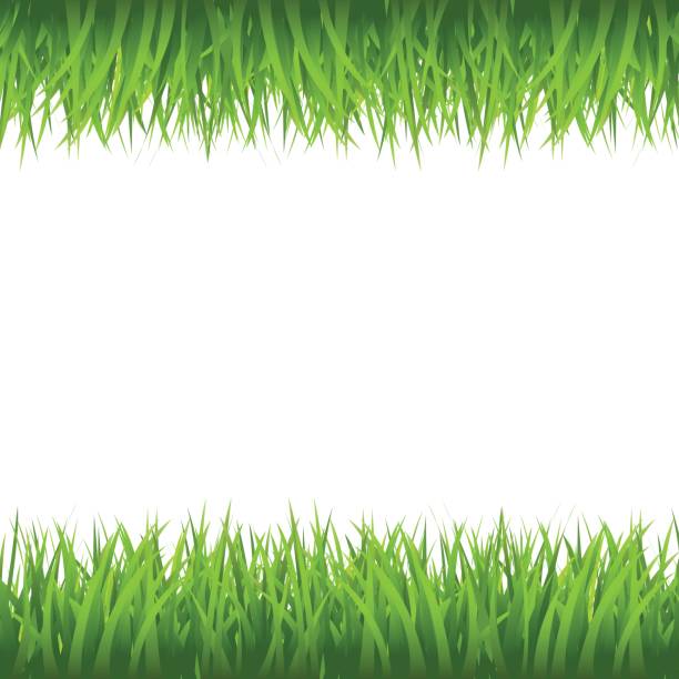 70+ Astroturf Angle Stock Illustrations, Royalty-Free Vector Graphics ...