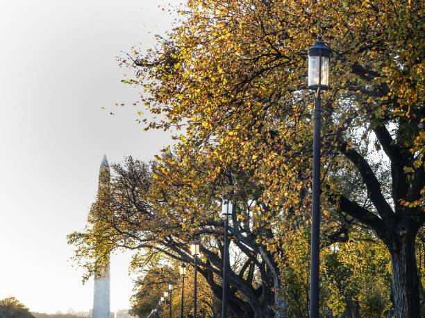 istock sunset at  the National Mall in Autumn 839890364
