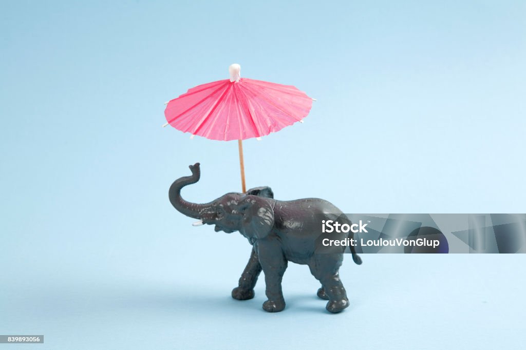 pop elephant figurine a plastic elephant with a red cocktail umbrella on a vibrant blue background. Minimal color still life photography Toy Stock Photo