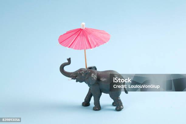 Pop Elephant Figurine Stock Photo - Download Image Now - Toy, Offbeat, Animal