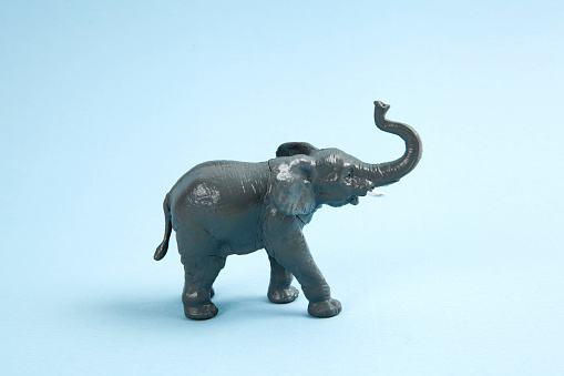 a plastic elephant on a vibrant blue background. Minimal color still life photography