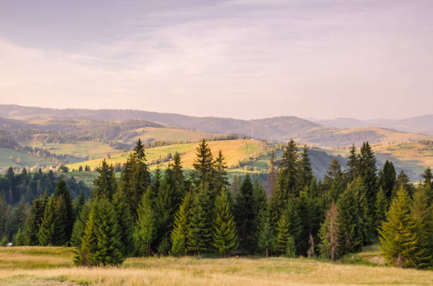 istock Background with Ukrainian Carpathian Mountains during the sunset in the Pylypets 839893252