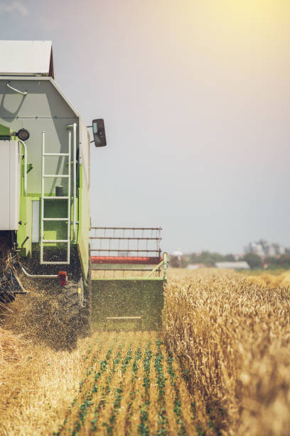 istock Combine harvester machine harvesting ripe wheat crops 839900340