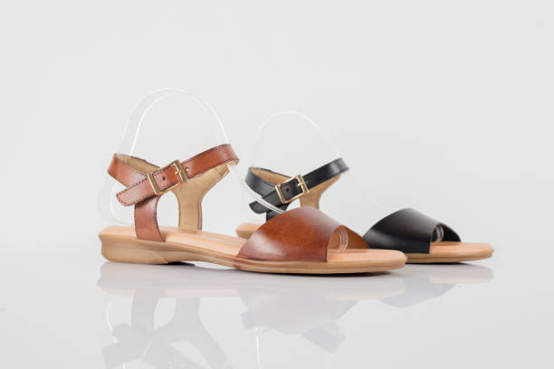 istock Female Black and Brown Sandal on White Background. 839915110