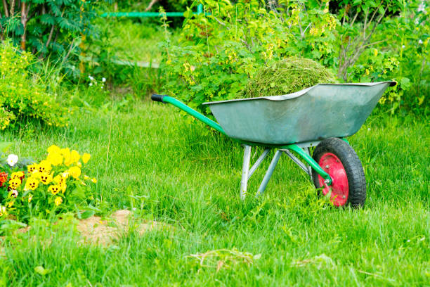 istock garden trolley with mowed grass 839921714