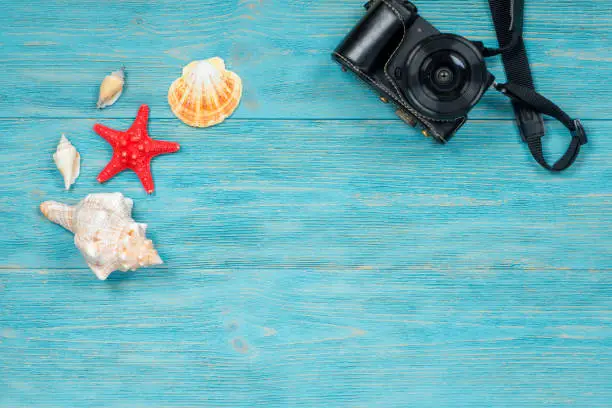 sea creatures and photo camera over wooden planks, summer memories concept
