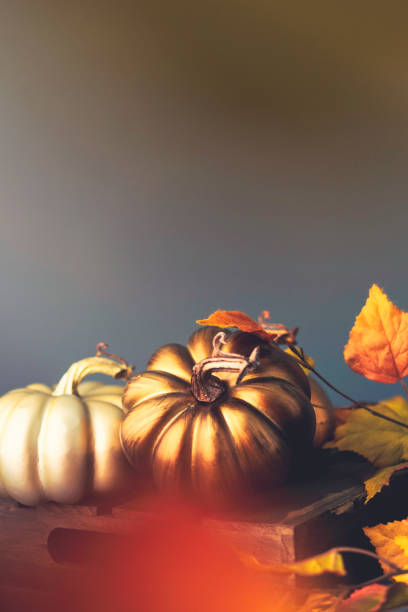 istock Thanksgiving still life background with pumpkins 839938798