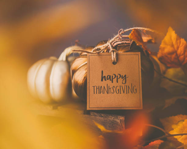 istock Thanksgiving still life arrangement with pumpkins and message 839938812