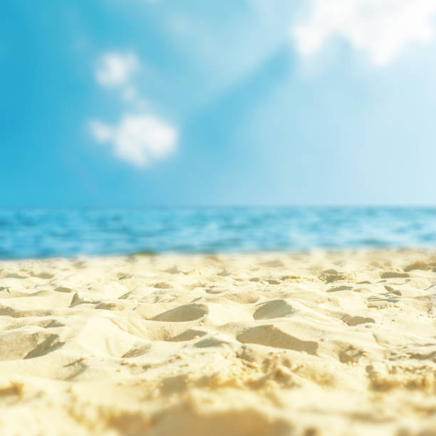 istock sand beach closeup and sea with blue sky over it 839938942