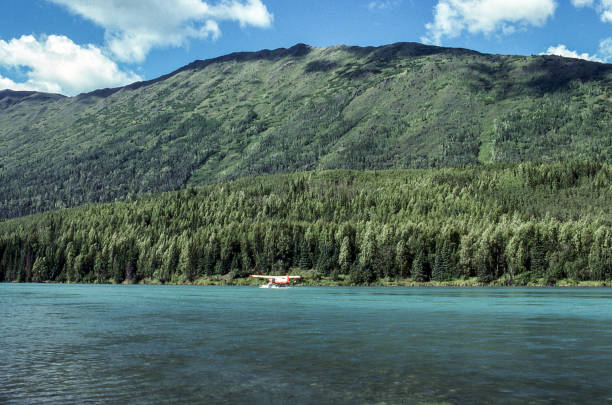 istock Inside Passage Landscape of a Tree Covered Island 839944150