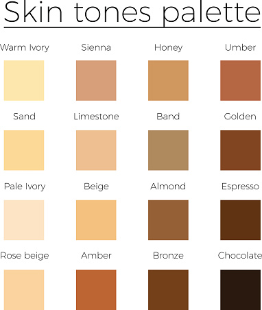 Skin tones color palette vector   skin color vector chart