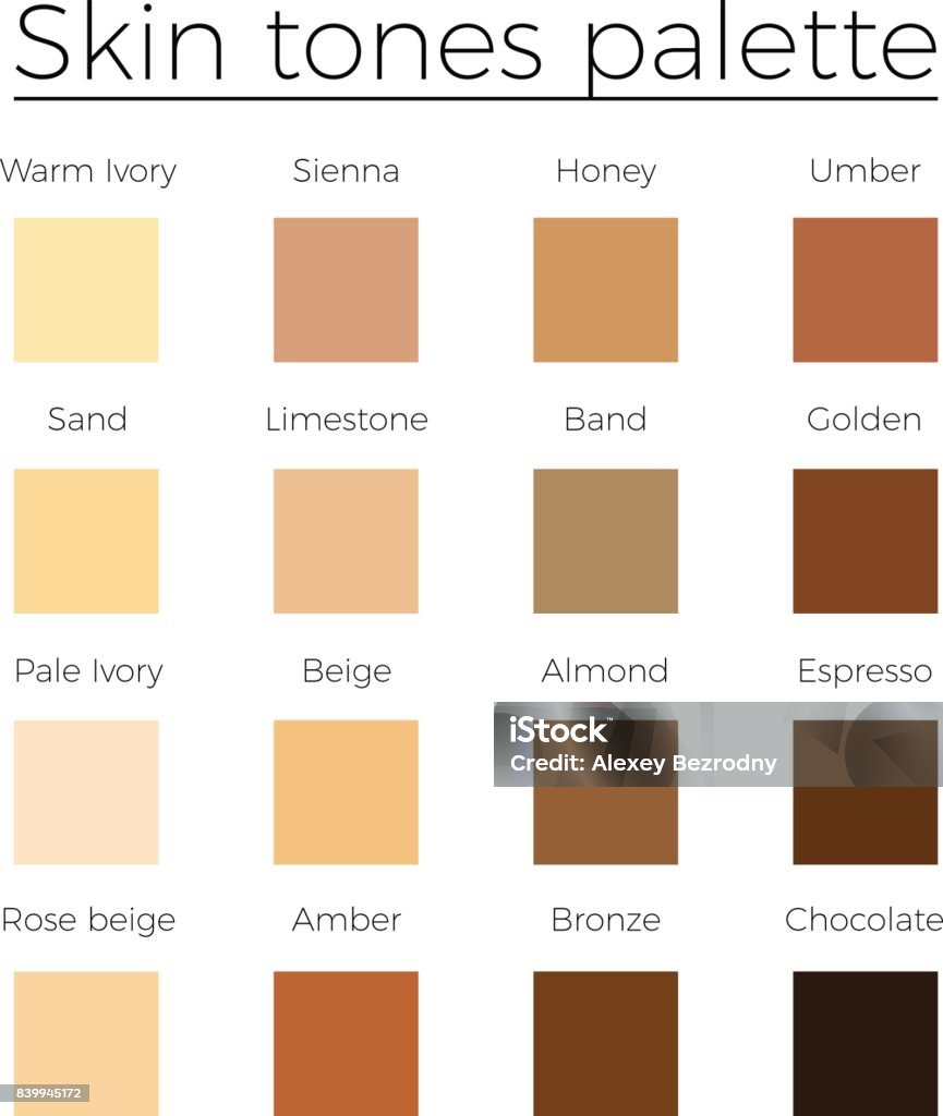 Skin tones color palette vector Skin tones color palette vector   skin color vector chart Colors stock vector