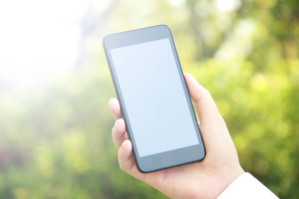 istock Female hand holding blank mobile phone 839947958