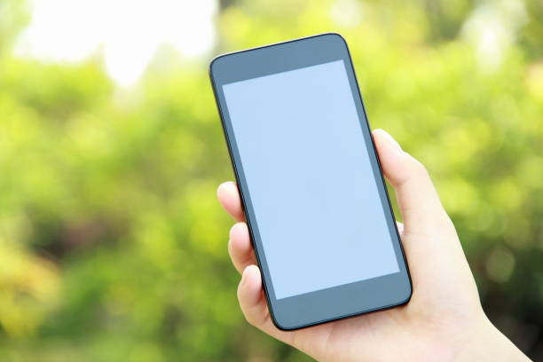 istock Female hand holding blank mobile phone 839947974