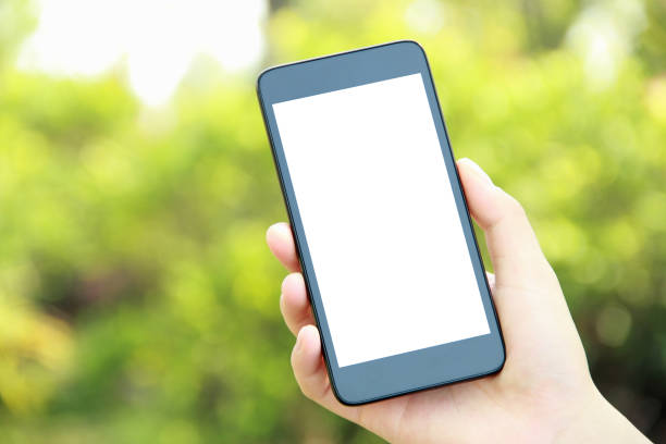istock Female hand holding blank mobile phone 839948034