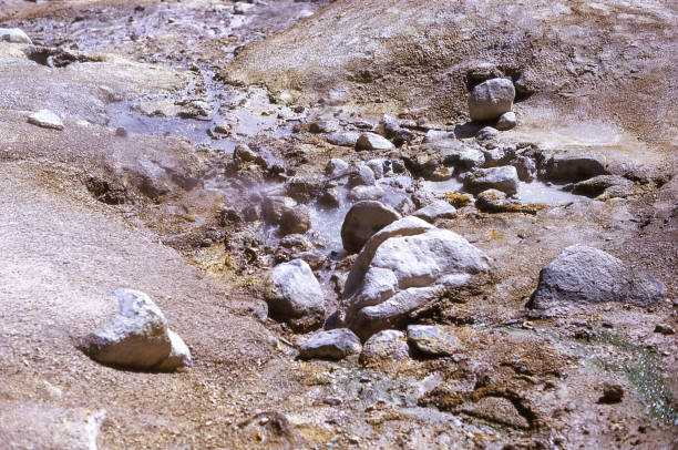 Lassen Volcanic National Park landscape with steaming fumaroles and trees.\n\n