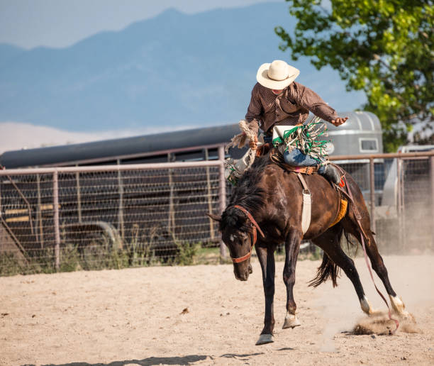 istock wild west rodeo cowboy on bucking bronco horse 839955196