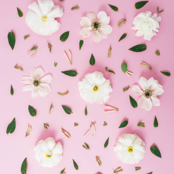istock Pattern of white flowers on pink background. Flat lay, top view. Flowers background. 839959078