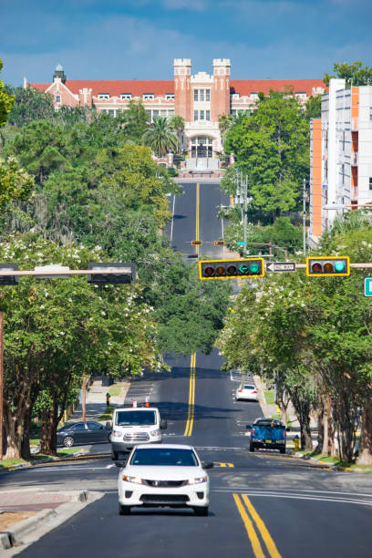 florida state university da college avenue - florida state foto e immagini stock