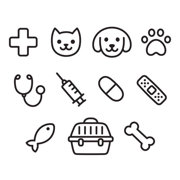 ilustrações, clipart, desenhos animados e ícones de conjunto de ícones do veterinário do animal de estimação - animal care equipment